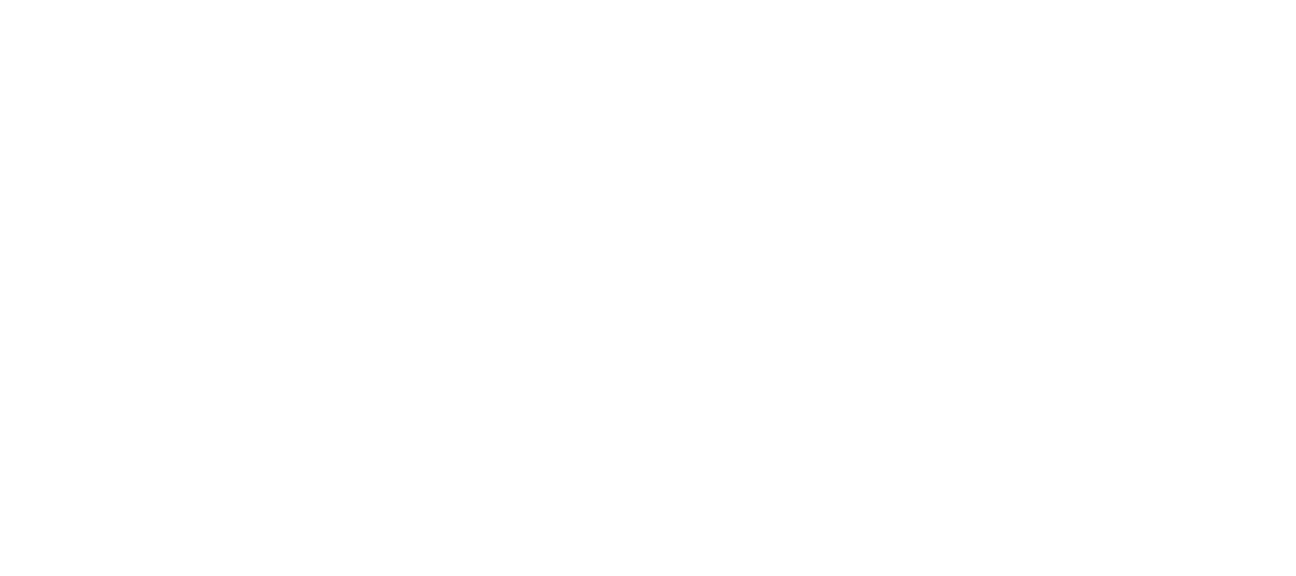 Rind Beinscheibe